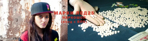 гидропоника Алзамай