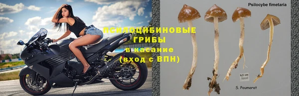 марки nbome Алексеевка