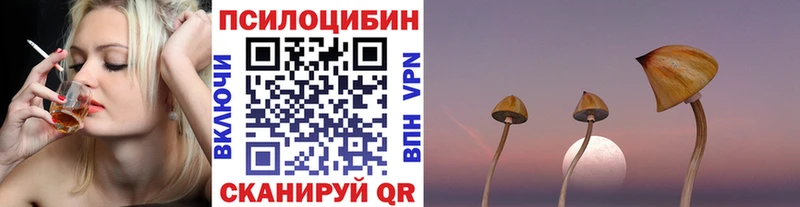 Галлюциногенные грибы MAGIC MUSHROOMS  купить наркотик  Канаш 