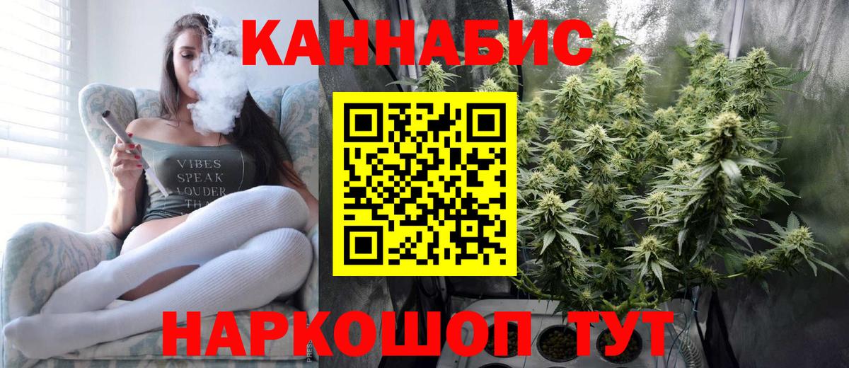 Бошки Шишки гибрид Канаш